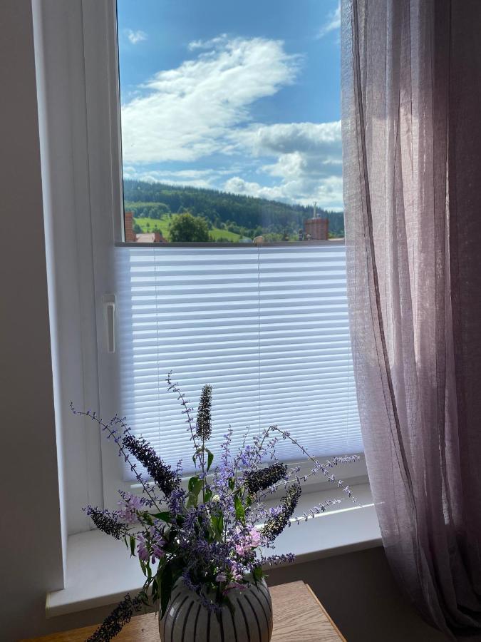 Apartament Niebieski Дужники Здрой Екстериор снимка